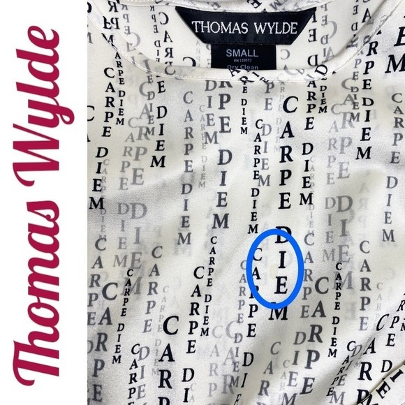 THOMAS WYLDE Y2K Sheer Silk Lyocell Text Print Dress Avant Garde Editorial Small - Picture 11 of 16